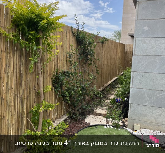 גדר במבוק עם צמחים ושטח דשא מלאכותי